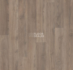 Линолеум Forbo Eternal Wood 11952 steamed oak фото 1 | FLOORDEALER